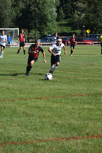 分析本届赛 分析本届赛