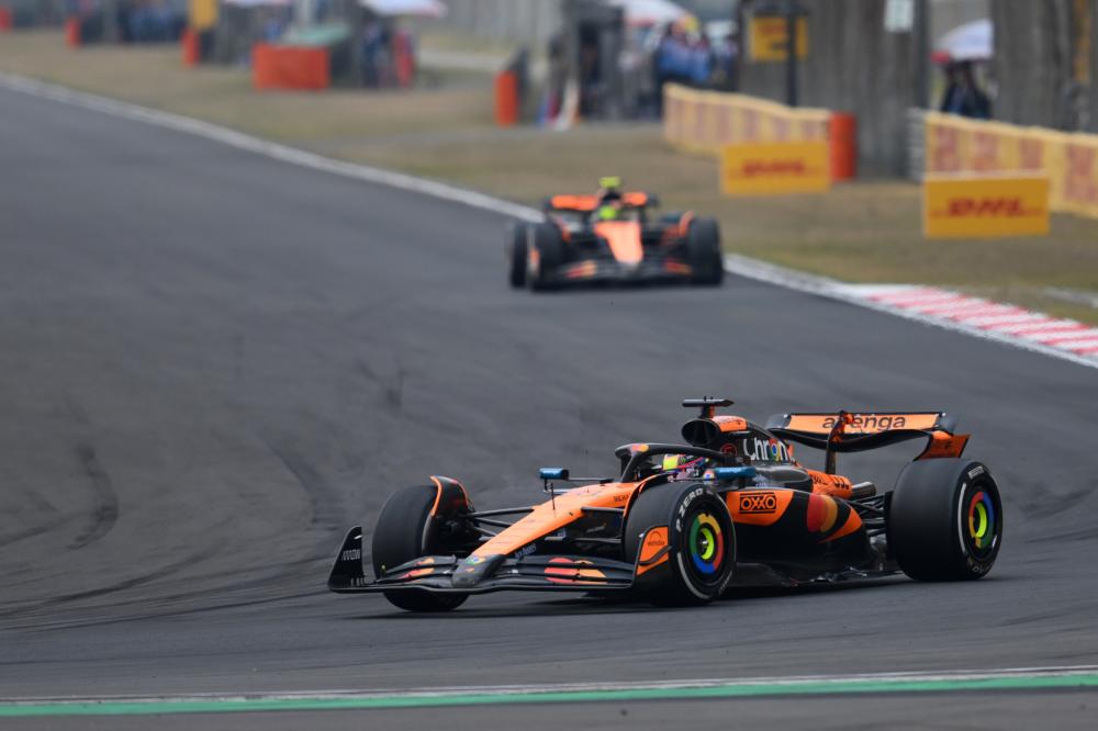 卡多两位新 卡多两位新