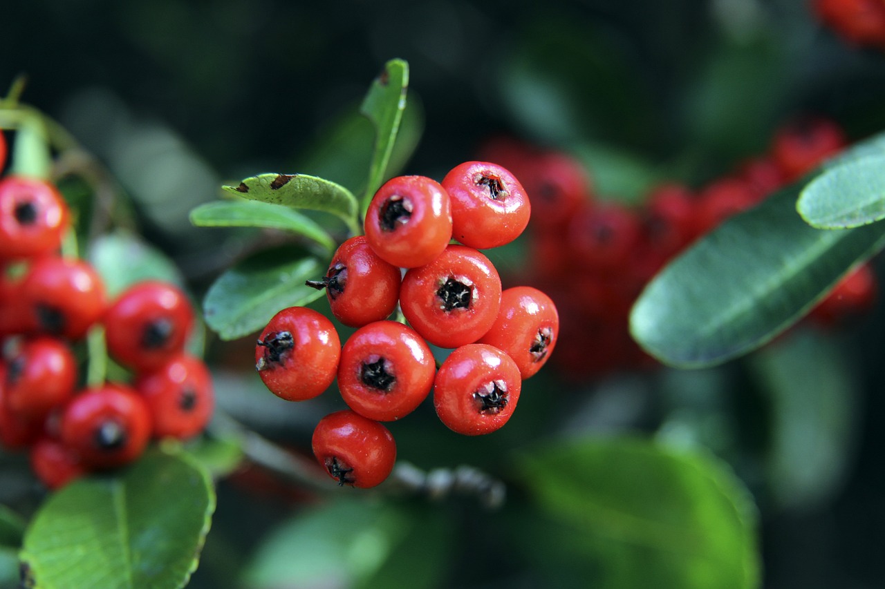 探讨这个话 探讨这个话