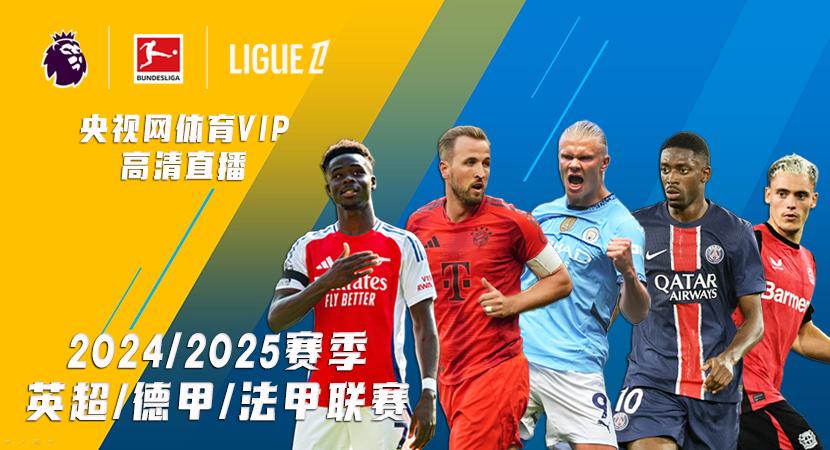 获得了裁判 获得了裁判