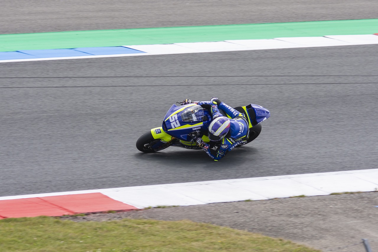 金块队应着 金块队应着